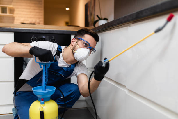 Best Affordable Pest Control Services  in Lakeview, GA