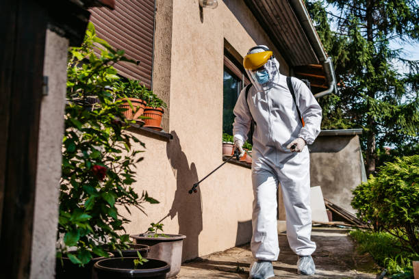 Wasp Removal Services in Lakeview, GA