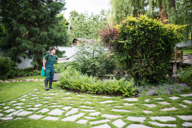 Best Pest Prevention Services  in Lakeview, GA