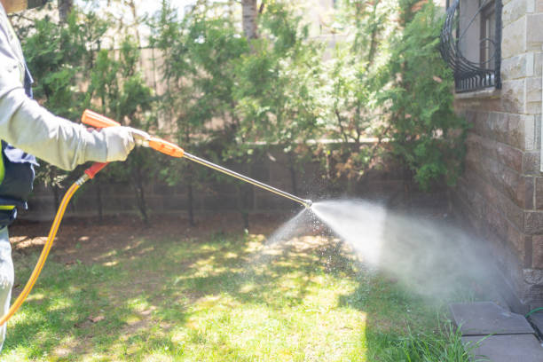 Best Emergency Pest Control  in Lakeview, GA