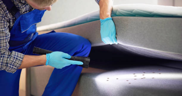 Best Affordable Pest Control Services  in Lakeview, GA