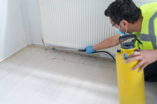 Best Pest Control Treatment  in Lakeview, GA
