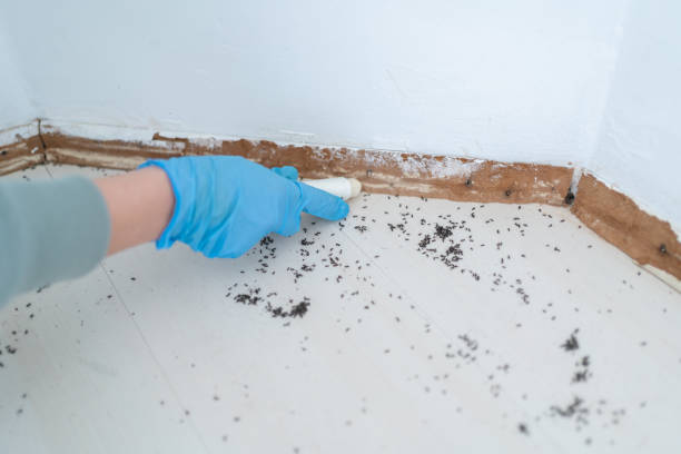 Best Commercial Pest Control Services  in Lakeview, GA